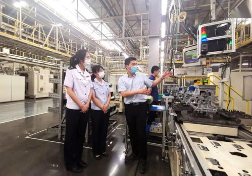 減稅費(fèi)優(yōu)服務(wù)，稅務(wù)部門助力企業(yè)揚(yáng)帆海外高質(zhì)量發(fā)展